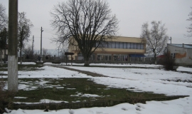 Долни Цибър