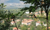 Яворница