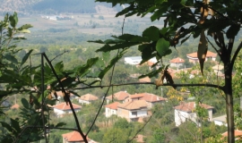 Яворница