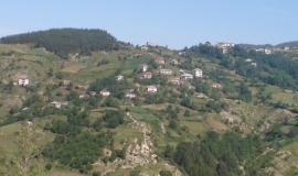 Гърнати