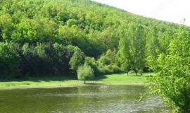 Ошане
