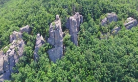 Сърница