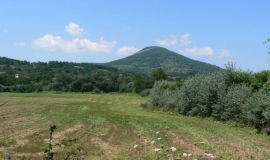 Арковна