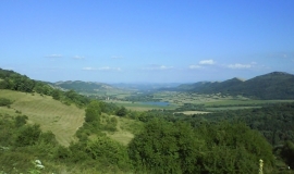 Цаконица