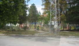 Гроздьово