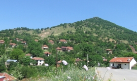 Лесново