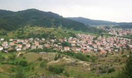 Барутин