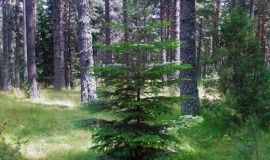 Крънджилица