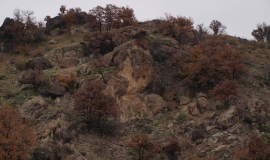 Татарево (Област Хасково)