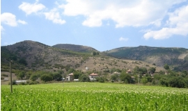 Долна кула