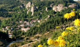 Борово (Област Пловдив)