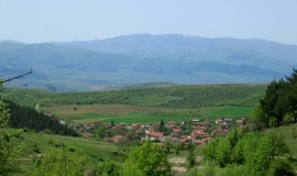 Лиляч