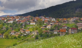 Света Петка