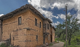 Мандрица