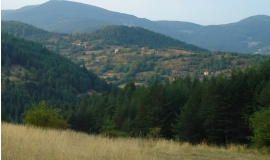 Босилково (Област Смолян)