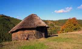 Пресока