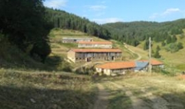 Кукувица