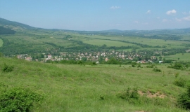 Видраре