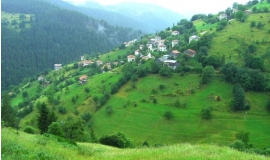 Кутела