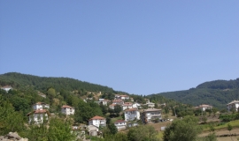 Бурево