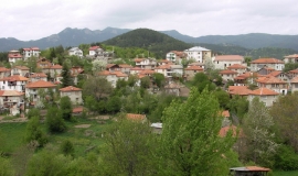 Хасовица