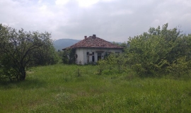 Лопушня