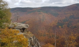 Равнища