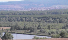 Венелин
