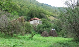 Миланово (Област София)