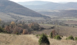 Бенковски (Област София)