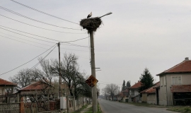 Милево