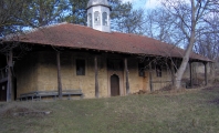 Гъбене