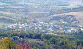 Осиковица