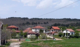 Веринско