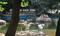 Зоопарк Варна