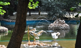 Зоопарк Варна