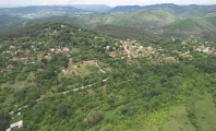 Царичина