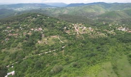 Царичина