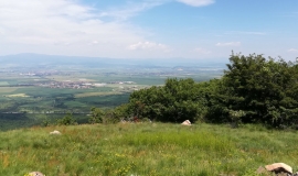 Връх Голема Асарица