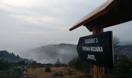Връх Сирищнишка рудина