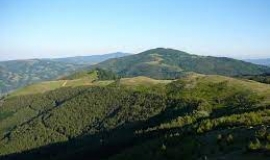 Връх "Билска чука"