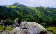 Резерват "Кутелка"