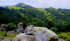 Резерват "Кутелка"
